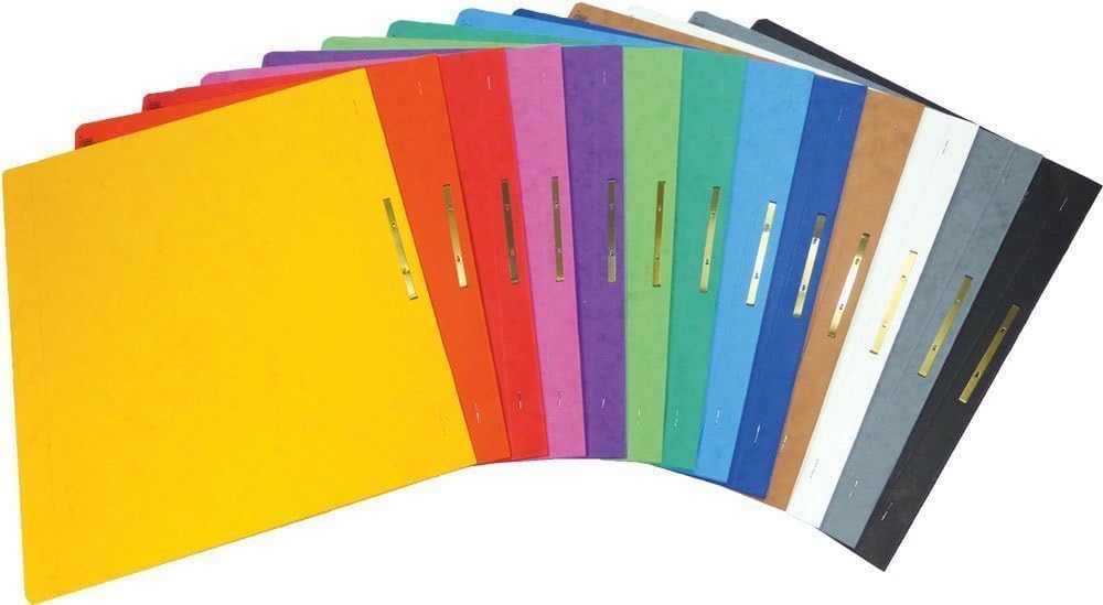 Brunnen Report file Cardboard extra strong - GROSSPACK colourful - 13 Pieces or Colours in PACK - for School, Job, Office and at home - Assorted, Pack of 13