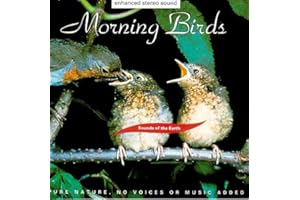 Sounds of the Earth: Morning Birds