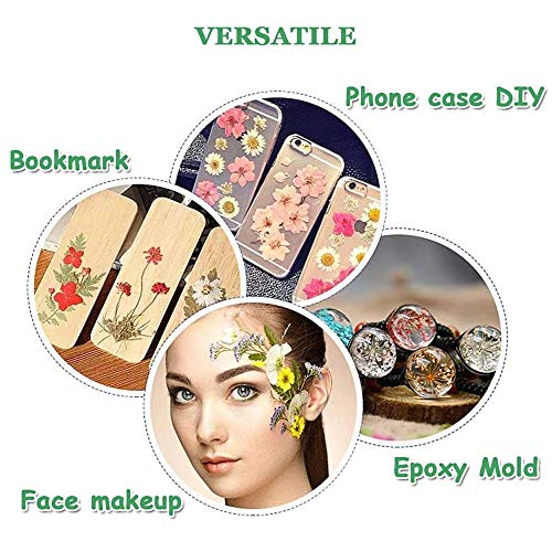 Yakuin 53 PCS Real Dried Pressed Flowers Leaves Petals Colorful Daisies for DIY Candle Resin Jewelry Nail Pendant Crafts Making Art Floral Decors