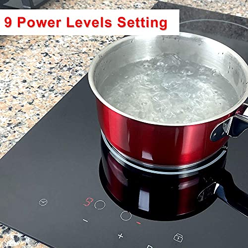 12'' Induction Cooktop, Double Electric Cooktop Built in 2 Burner Glass