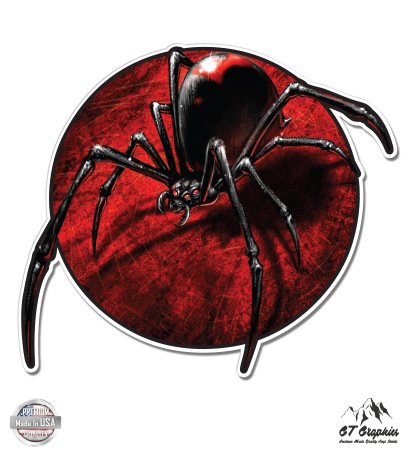 Black Widow Spider - 8