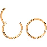 365 Sleepers 316L Surgical Steel Hypoallergenic 16G Gem Septum Jewelry Hinged Segment Ring Body Piercing Hoop Lip Rings Helix Cartilage Rook Sleeper Earrings 8mm – 10mm