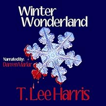 Winter Wonderland: A Dallas Powell Mystery