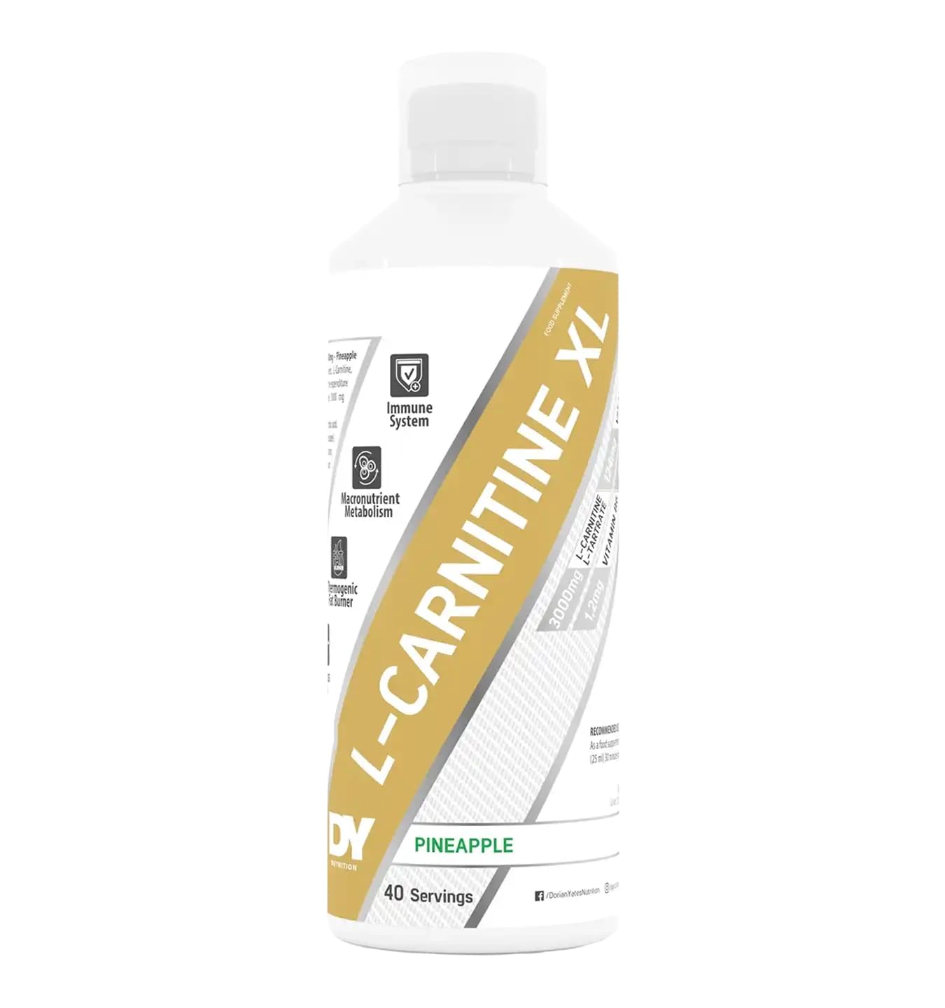 Liquid L-Carnitine XL, Pineapple - 1000 ml.