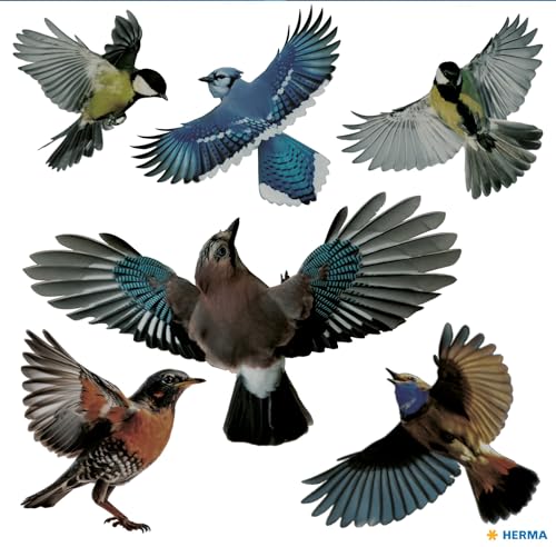 HERMA Warnvögel Vogel Aufkleber Set für Fensterscheiben groß, 2400 Stück, 30 x 30 cm, selbstklebend, ablösbar und wiederverwendbar, Vogelschutz für Fe