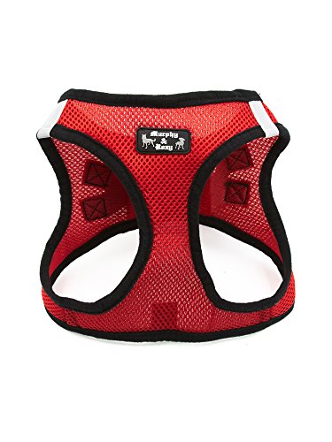 Creative Pet Group MR500RED-S Murphy & Roxy Pet's Harness with Velcro and buckl…
