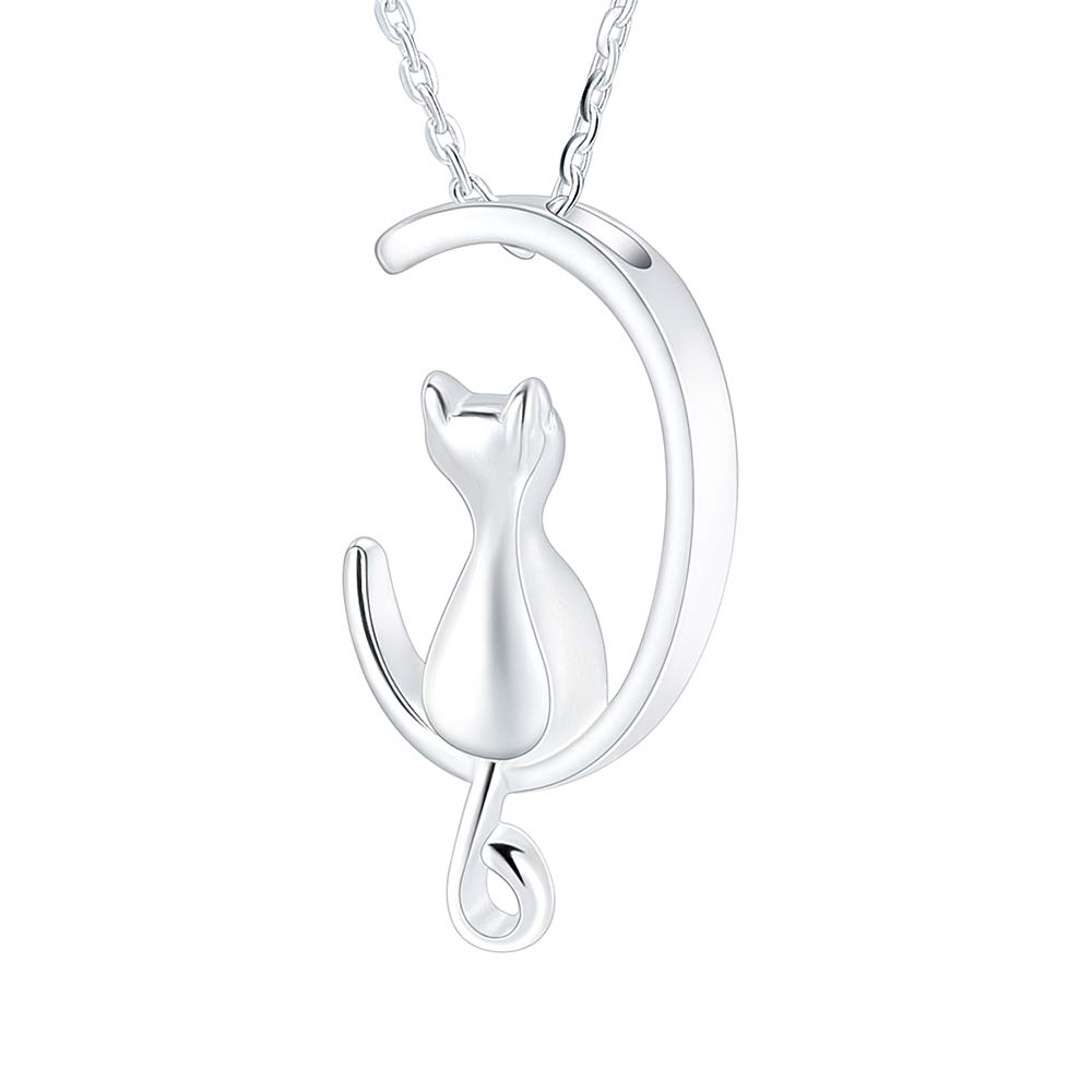 Minicremation Pet Cremation Jewelry Urn Necklace for Ashes Memorial Pendant Ashes Holder Keepsakes Jewelry for Ashes for Cat, Metal, not