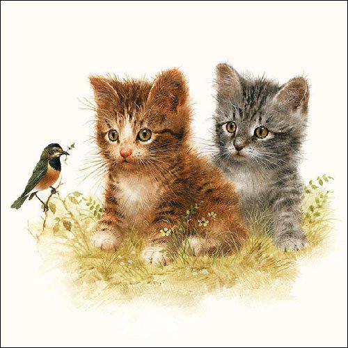 Ambiente Servietten Lunch/Party/Fest ca. 33x33cm Kitten Friend - Ideal As A Gift