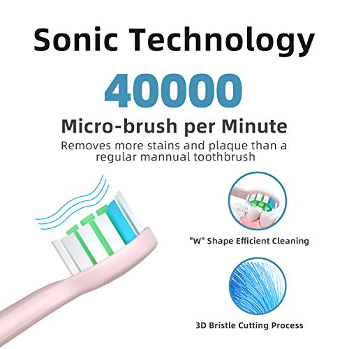 Hanasco Electric Toothbrush Sonic, 6 DuPont Brush Heads & Travel Case