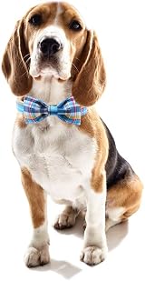 Unique style paws Dog Collar with Bowtie Adjustable Cotton Bandana Bow Tie view 5