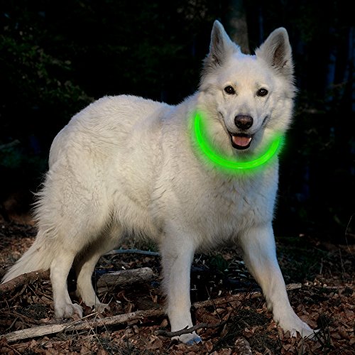 BSEEN LED Dog Collar Cuttable Water Resistant Glowing Dog Collar