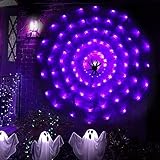 Kemooie Halloween 3.25ft Spider Web with 80 LED and