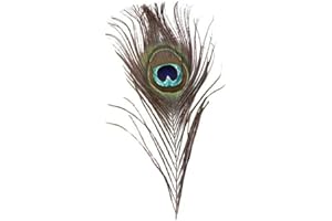 Decorative Green Peacock Feather, Natural Plume for Wedding, Party, Living Room, Home Decor