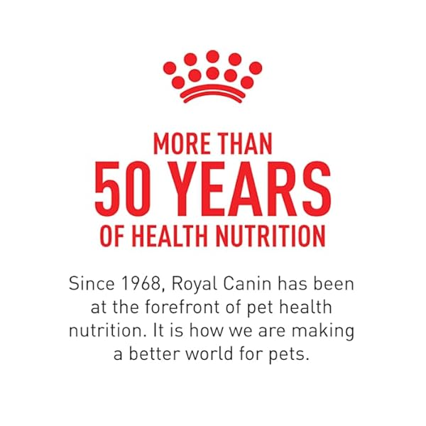 ROYAL CANIN FELINE HEALTH NUTRITION DRY KITTEN FOOD, SUPPORTS DIGESTIVE HEALTH, IMMUNE SUPPORT AND HEALTHY ENERGY, 3 LB BAG
