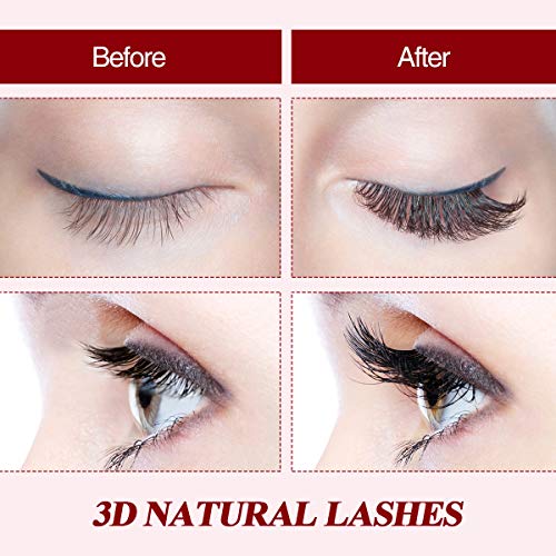 Magnetic Eyeliner and Lashes Kit, Liaboe Reusable False EyeLashes, 10 Styles Soft Eyelashes with 2 Liquid Eyeliners and Tweezers, Long Lasting, Natural Look, No Glue