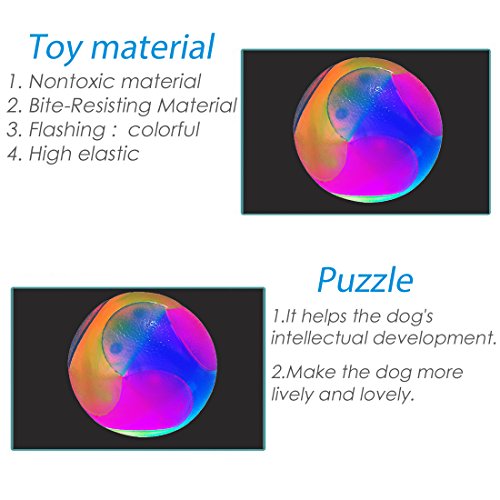 FineInno 2 pcs Light Up Dog Balls Flashing Elastic Ball Glow in The