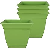 The HC Companies 6 Inch Eclipse Square Planter Pots w/Drainage Holes & Attached Saucer, Lightweight UV-Resistant Plastic Indo