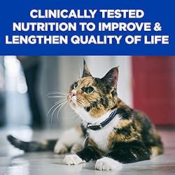 k/d Kidney Care Wet Cat Food, Veterinary Diet
