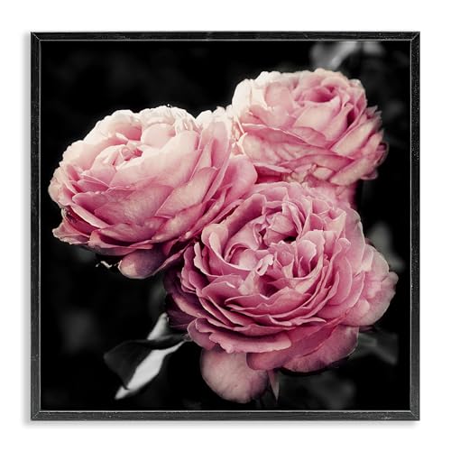 Stupell Industries Full Blooming Roses Framed Giclee Wall Art Design by Emily N…