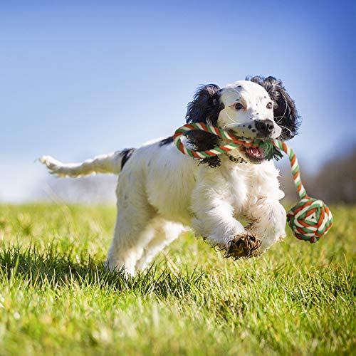 Large Dog Rope Chew Toys, Aggressive Chewers Tough Natural Cotton Rope Chew Knotted Heavy Rope Set Toys for Large and Medium Dog Teething, Chewing, Tug of War, Teeth Cleaning, Fetching Toy (H01)