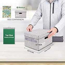 BALEINE Storage Bins with Lids, Foldable Linen
