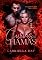 Livro CURVAS EM CHAMAS