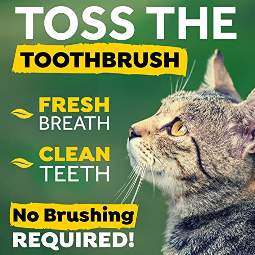 TropiClean Fresh Breath Cat Dental Water Additive Drops A Cat Breath