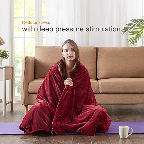 Degrees of Comfort Sherpa Weighted Throw Blanket for Adults DualSided Fuzzy Soft Sherpa