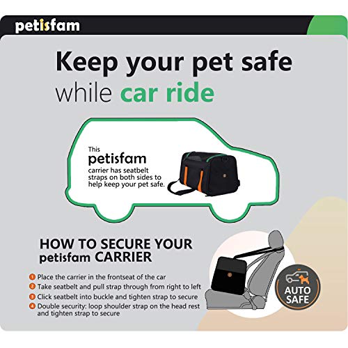 petisfam Pet Carrier for Medium Cats and Small Dogs. Easy to get cat in