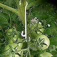 100 Pcs Tomato Support Clips Tomato Vegetable Support J-hook Clips to Prevent Tomatoes From Pinching or falling off