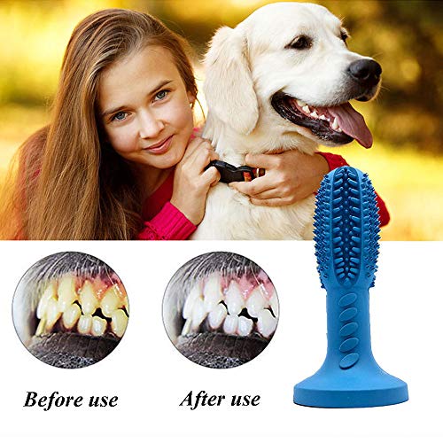 chewy dog toothbrush