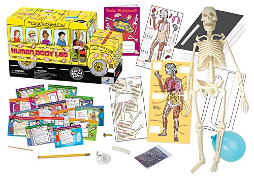 The Magic School Bus Human Body Lab