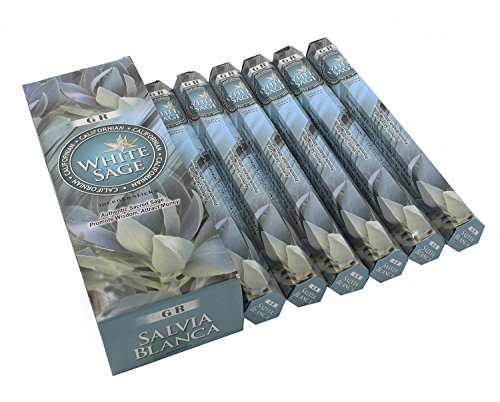 DharmaObjects Californian White Sage Incense 6 Box 120 Sticks