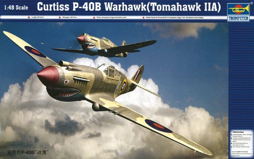 Trumpeter 1/48 P40B Warhawk (Tomahawk Mk IIA) Fighter Model Kit