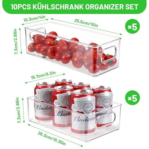 Royouzi Pack of 10 Fridge Storage Organizers, Transparent | Organisation Box with Handle & Lid, Fridge Storage Bin for Kitchens, Cupboards