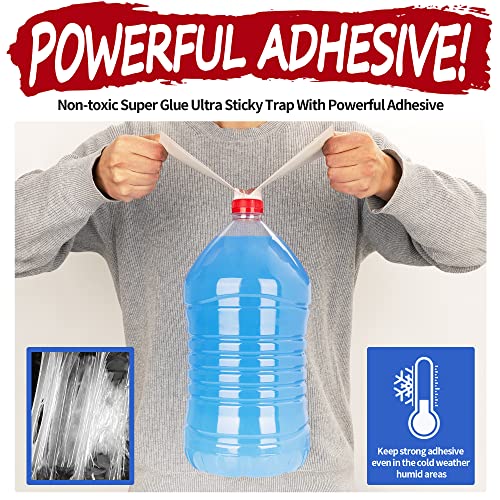 LULUCATCH Cricket Insect Glue Traps 6 Pack Bug Traps, Cockroach