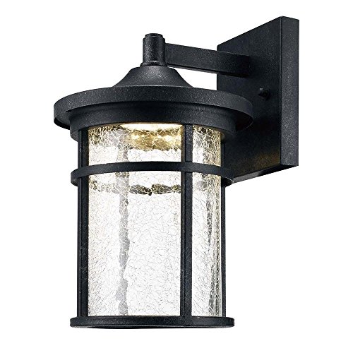 Home DecoratorsCollection Aged Iron Outdoor LED Wall Lantern with Crackle Glass