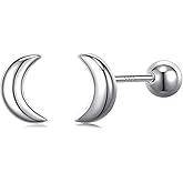 JSGEMSLEE Hypoallergenic 925 Sterling Silver Stud Earrings for Women With Screw Back Small Butterfly Heart Flower Earrings for Girls Tragus Cartilage Jewelry Gifts