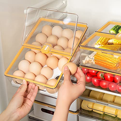 24 Grid Egg Holder, Refrigerator Egg Container Organizer Stackable Clear Plastic Egg Cartons Egg