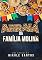 Livro Arraiá da família Molina