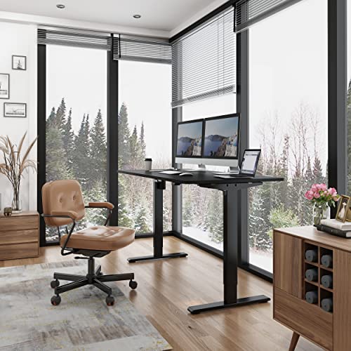 FLEXISPOT EC1 Standing Desk Adjustable Height Electric Home Office