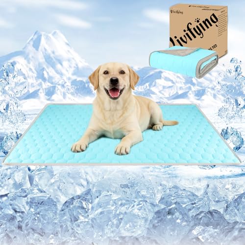 Vivifying Couverture rafraîchissante pour Chien 152 x 101 cm, Tapis réversible en Soie glacée avec Dos en Peluche Douce, Couverture d’été pour canapé, lit, Cage, Sol et Voyage (Bleu/Gris)