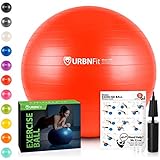 URBNFit Exercise Ball (Multiple Sizes) for Fitness, Stability, Balance & Yoga - Workout Guide & Quick Pump Included - Anti Burst Professional Quality Design (Red, 65CM)