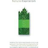 Natural Capitalism: Creating the Next Industrial Revolution