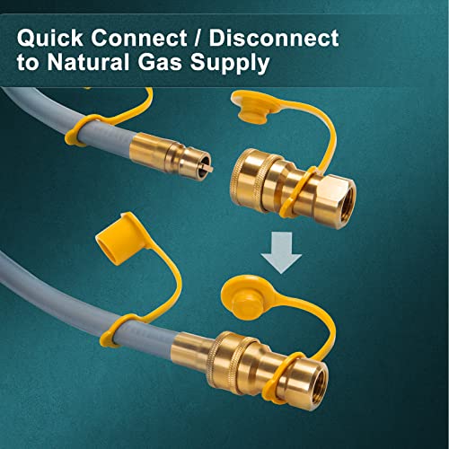 GASPRO 1/2Inch Natural Gas Quick Connect Hose for BBQ, Grill, Patio