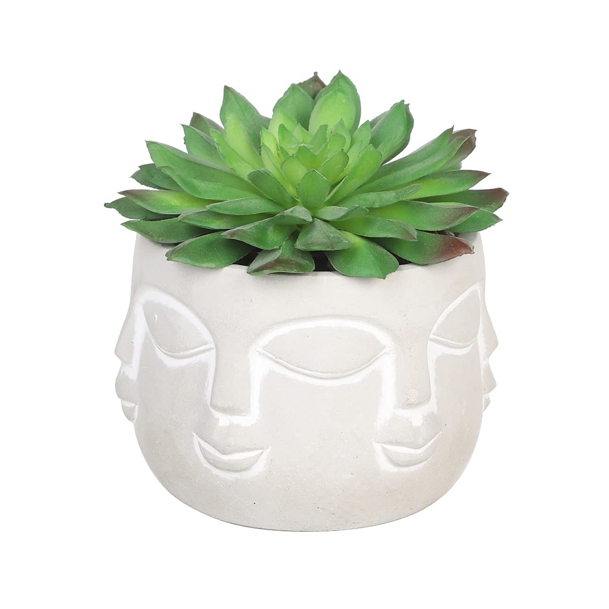 Sleepdown Halo Green Artificial Faux Plant Succulent Faces Pot for Home Office Bathroom Decor Indoor Decoration Aesthetics, Small