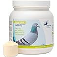 Generic PHP Amino Build 500g - Muscle-Building Amino Acids Pigeon Health & Performance
