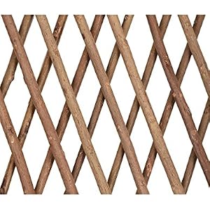 Huertos urbanos y otras estructuras | Amazon.es