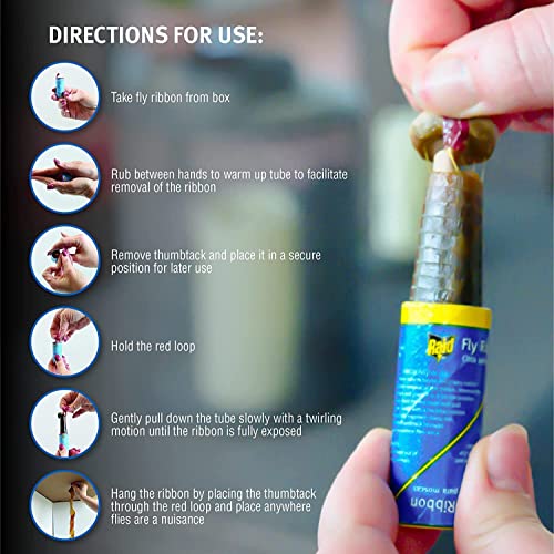 Raid 4 Fruit Fly Trap & 4 Fly Ribbon Fly Strips Fly Traps for Indoors