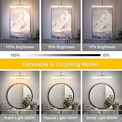 Ralbay Battery Operated Picture Light Gold Modern